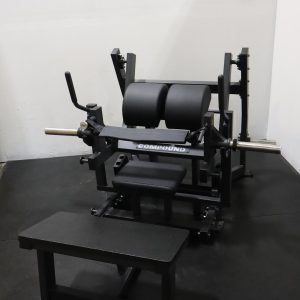 Flow Fitness Glute Drive Model 2