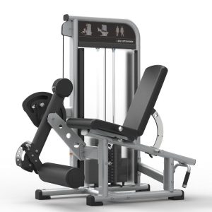 Flow Fitness Leg Extension/Prone Leg Curl Combo