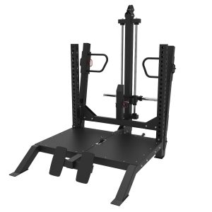 Flow Fitness Belt Squat
