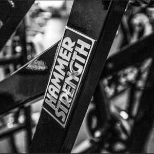 Hammer Strength Select Circuit For Sale