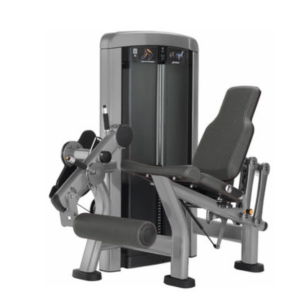 Life Fitness Insignia 14-Piece Circuit For Sale